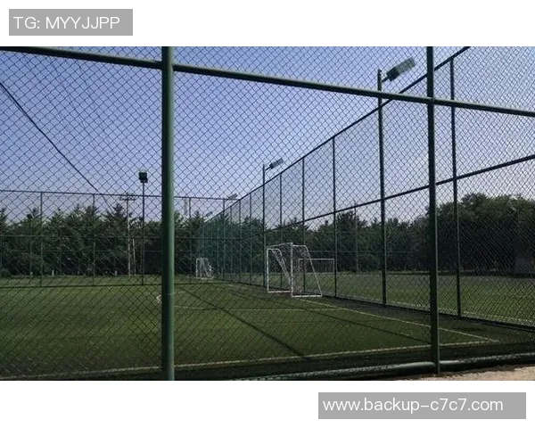 天元公园足球场周边活动丰富的休闲娱乐指南与亲子互动推荐 天元公园足球场周边活动丰富的休闲娱乐指南与亲子互动推荐